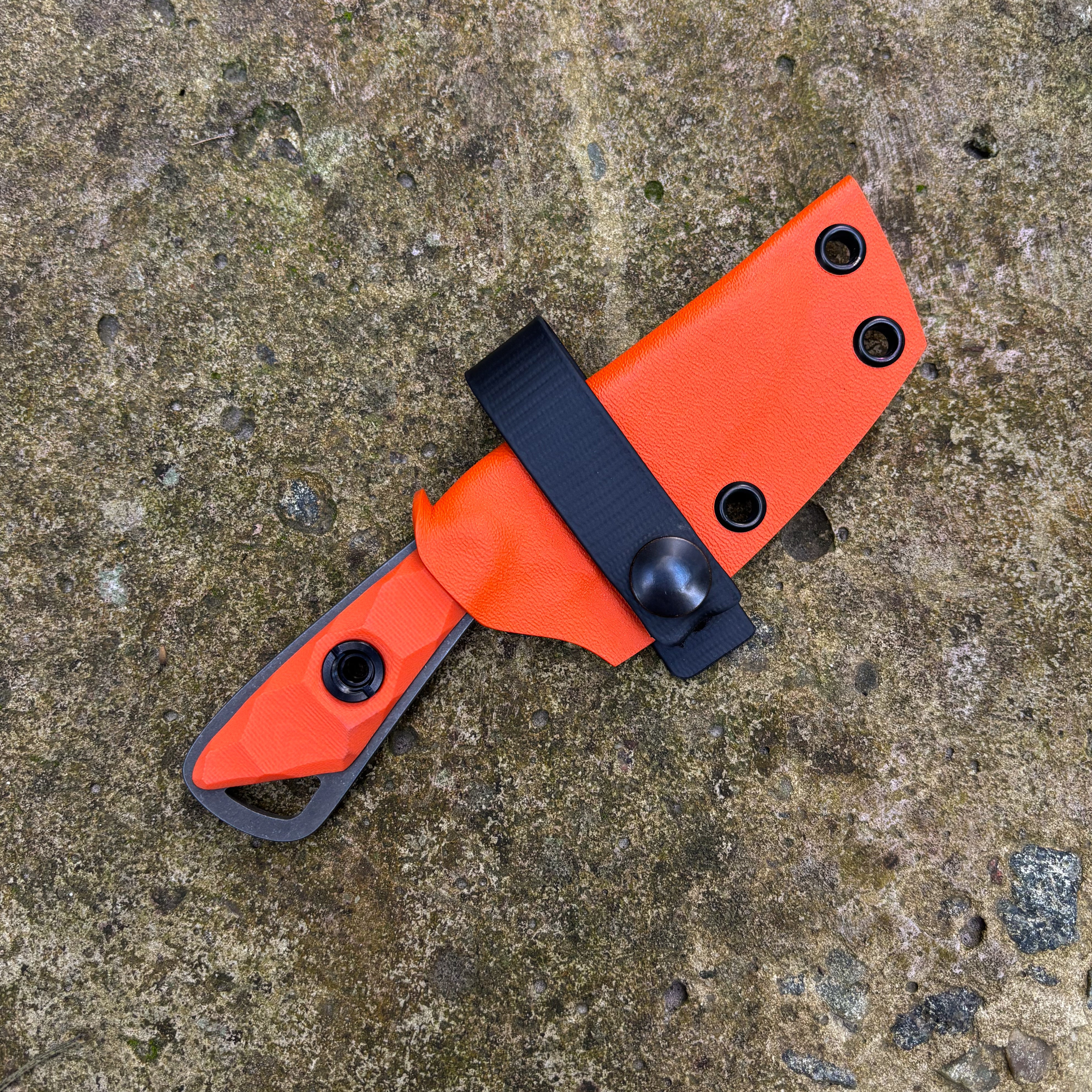 Поганка / Помаранчевий / 2025