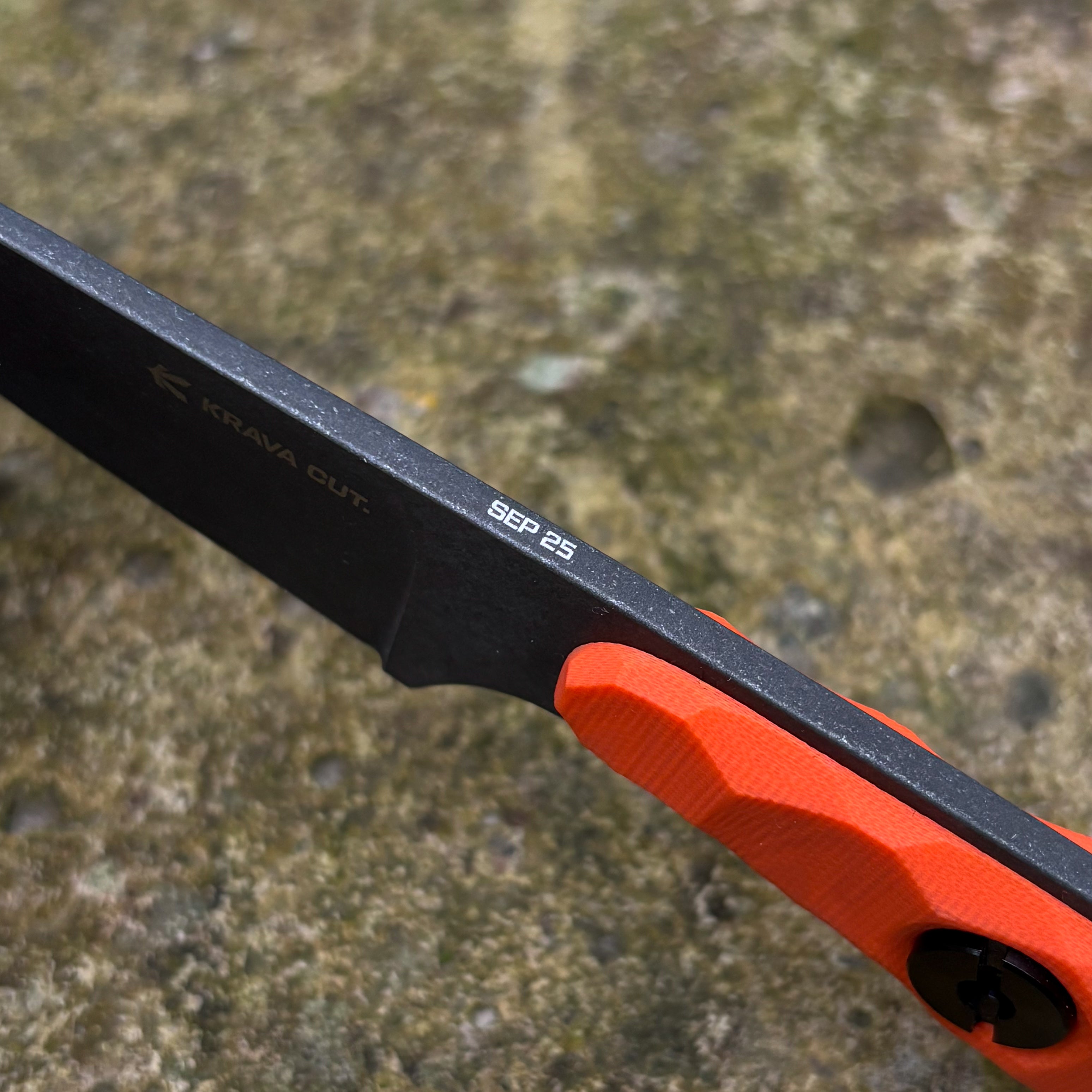 Поганка / Помаранчевий / 2025