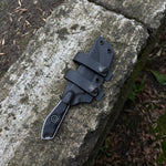 Load image into Gallery viewer, Полоз / Стоунвош / 2025
