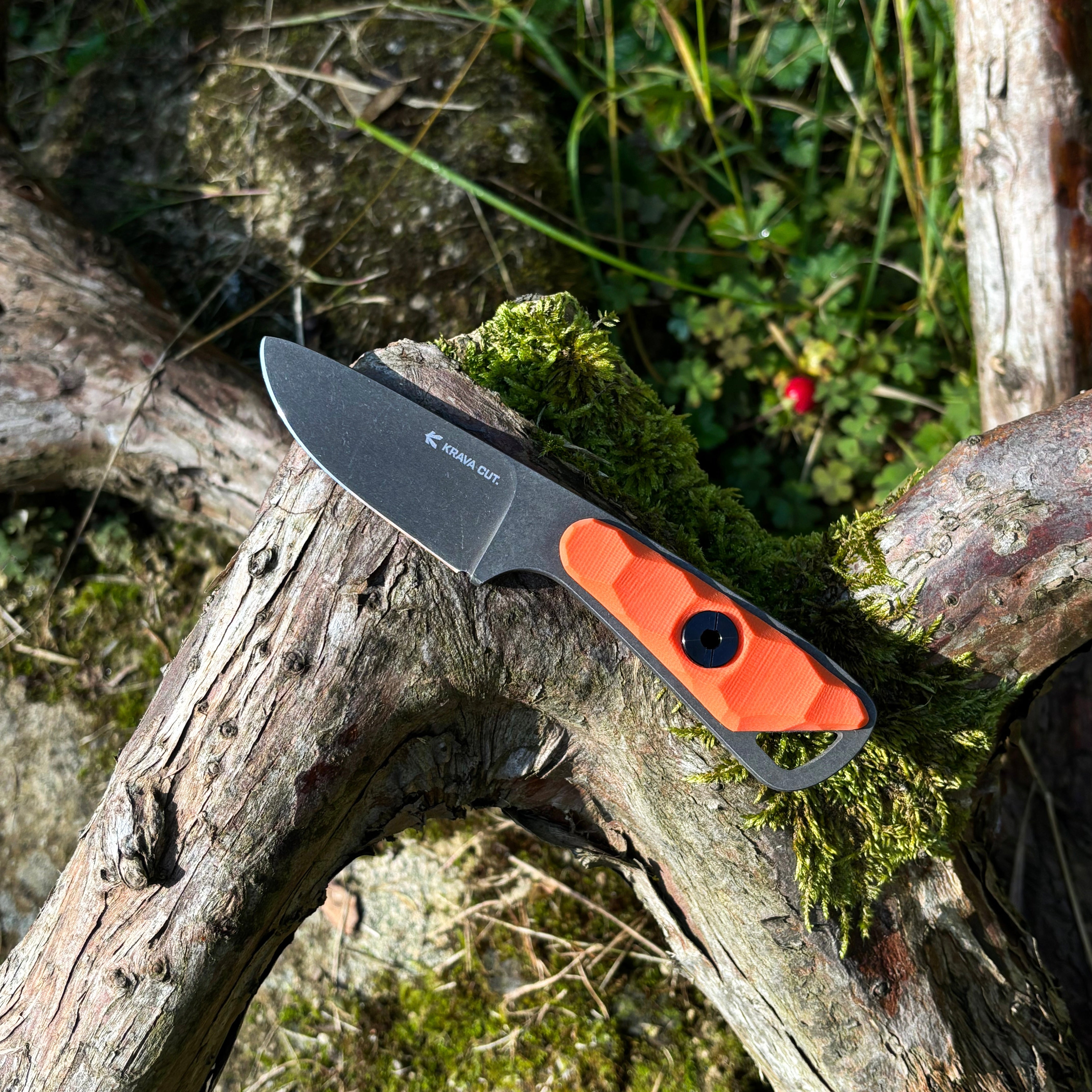 Поганка / Помаранчевий / 2025