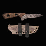 Завантажте зображення в засіб перегляду галереї, Пустельний чорт
