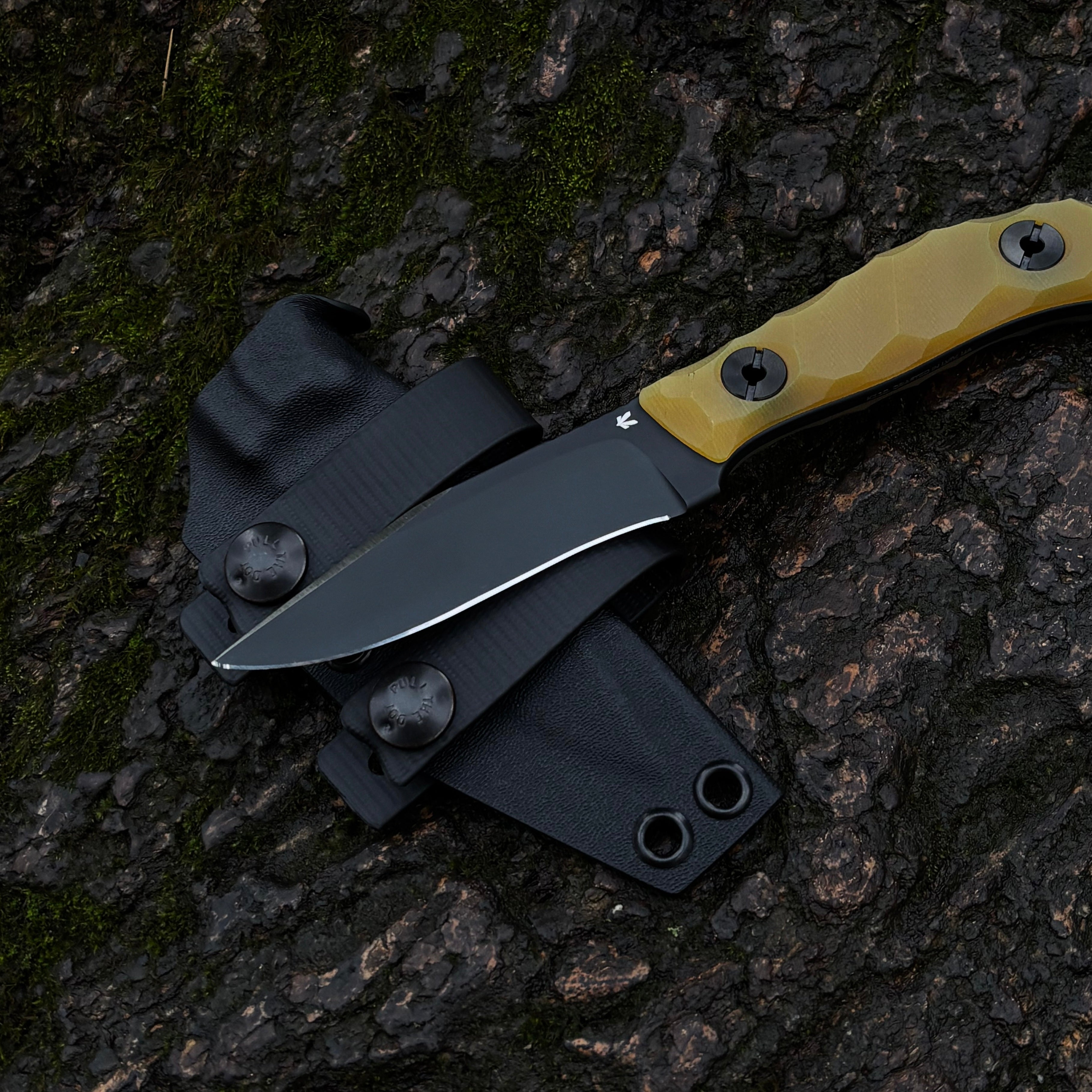 Медоїд / First run / 2025