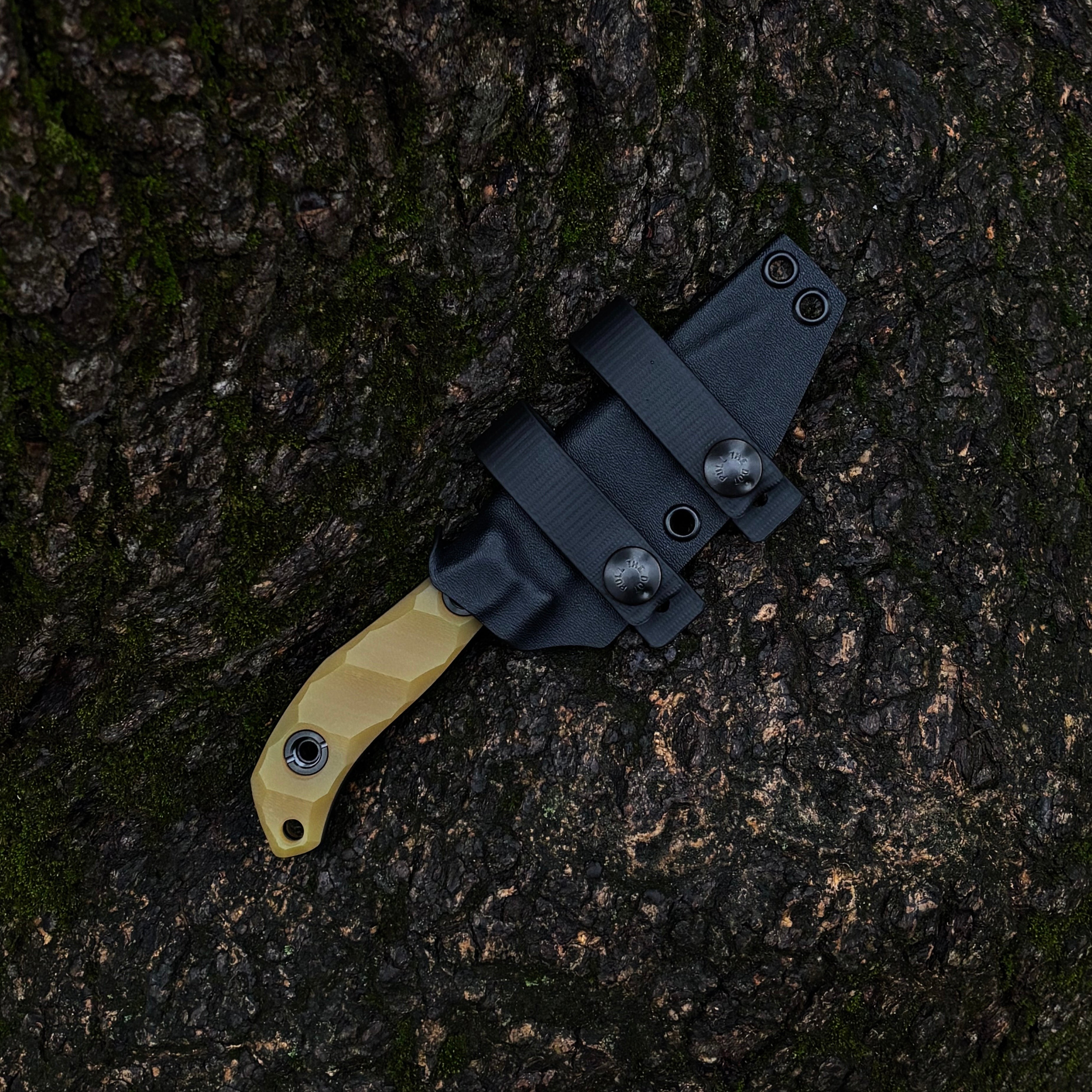 Медоїд / First run / 2025