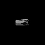 Load image into Gallery viewer, Gorgan
