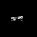 Load image into Gallery viewer, Rebra
