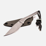 Завантажте зображення в засіб перегляду галереї, Мох Олив
