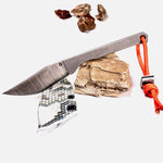 Завантажте зображення в засіб перегляду галереї, Цвіль Макалу / Нержав
