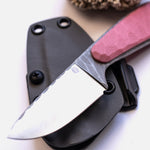 Завантажте зображення в засіб перегляду галереї, Поганка Нержавійка рожева
