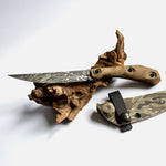 Завантажте зображення в засіб перегляду галереї, Zakolot Splash Coyote / Digital Tiger / 2021
