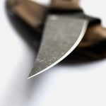 Завантажте зображення в засіб перегляду галереї, Лісовик Койот
