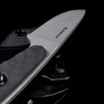 Завантажте зображення в засіб перегляду галереї, Поганка Камінь з лускою
