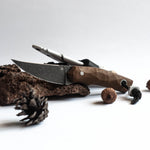 Завантажте зображення в засіб перегляду галереї, Лісовик
